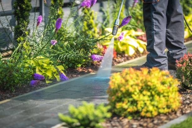 Best Fence Cleaning  in East Washington, PA