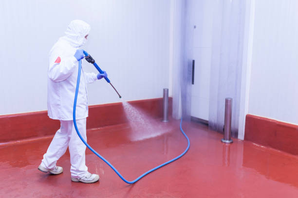 Best Graffiti Removal  in East Washington, PA